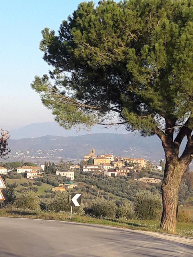 B&B Cum Grano Salis Castello delle Forme Exterior photo