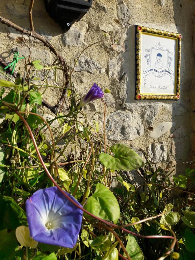 B&B Cum Grano Salis Castello delle Forme Exterior photo
